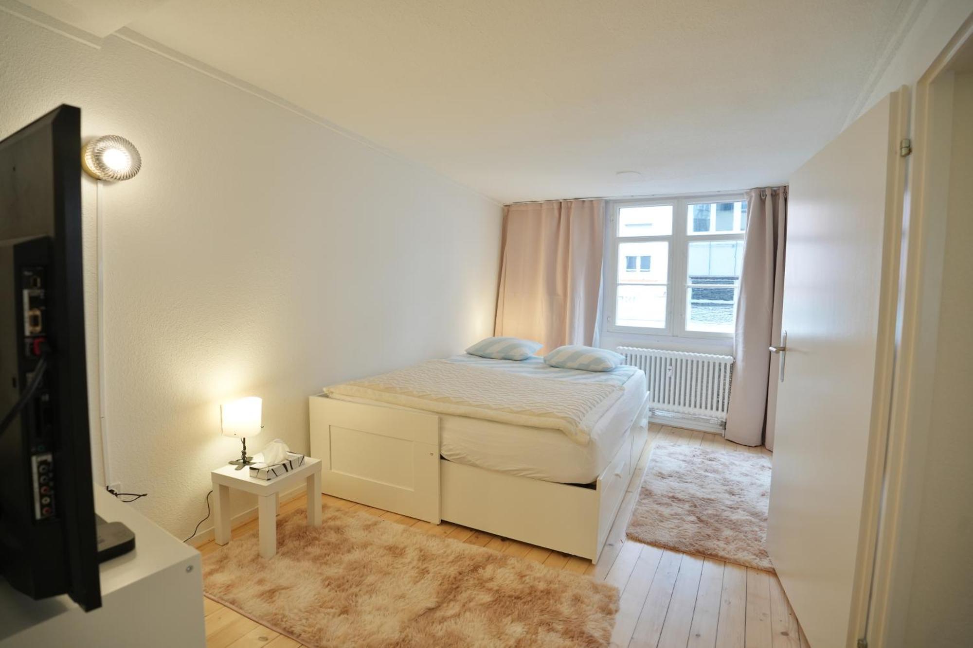 Cozy City Center, 4 Bedroom- 120Sq, 5Min Walk To Main Station Basel Bagian luar foto